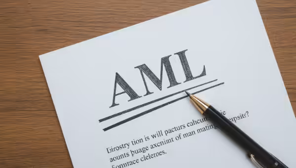 aml analyst
